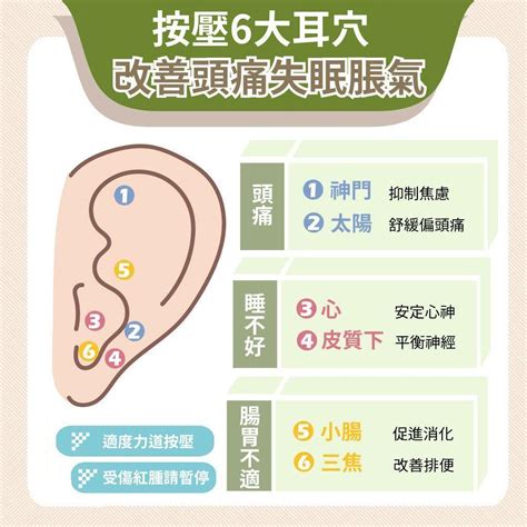 耳穴貼是什麼|耳朵有解痛神奇穴位！按壓6大「耳穴」頭痛、失眠、。